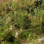 Diseñar un pequeño jardín amurallado: principios fundamentales