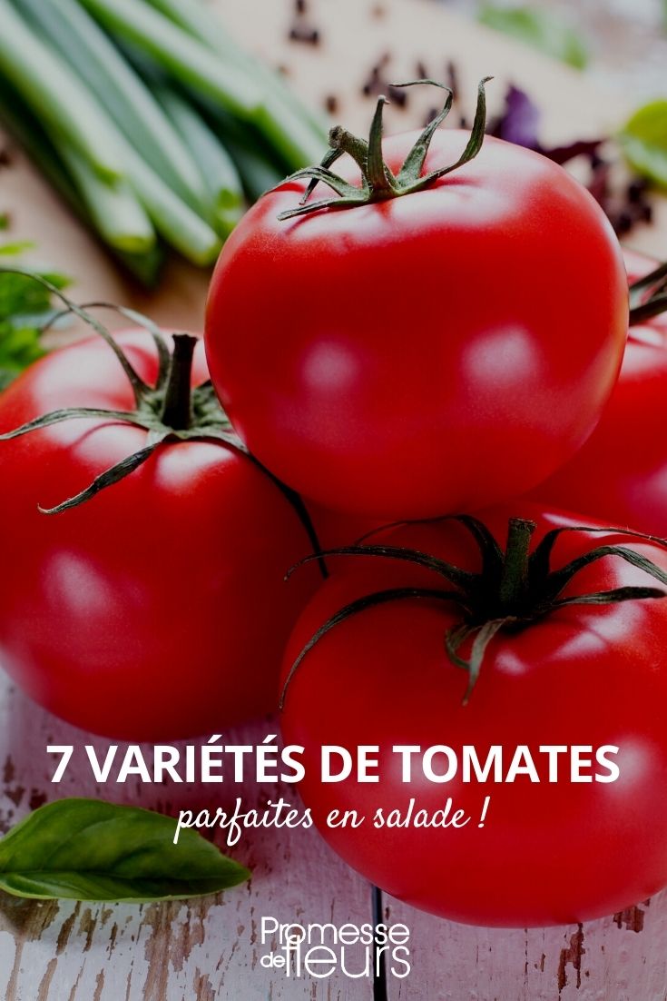 7 tomates para ensalada