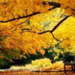 Diseñar un bonito jardín de otoño