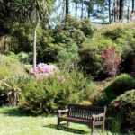 ¿Qué plantar en un jardín ya lleno?