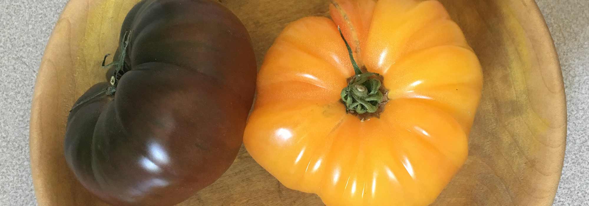Los mejores tomates antiguos