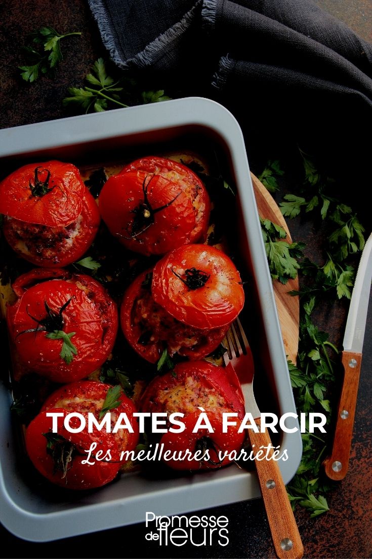 Las mejores tomates para rellenar