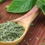 ¿Cómo conservar la menta fresca?