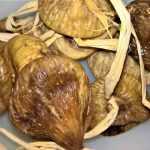 ¿Cómo secar higos?