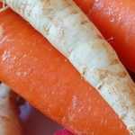 5 hortalizas de raíz para huerto de montaña