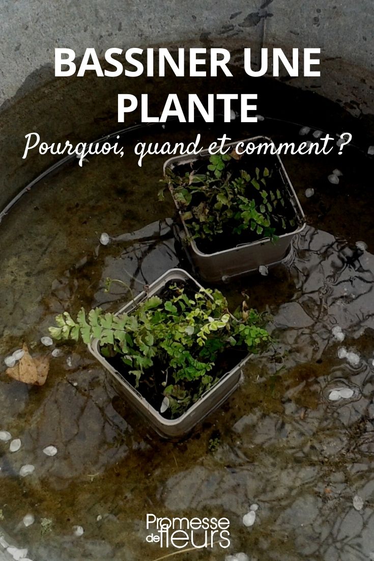 riego por inundación