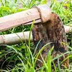 ¿Para qué sirve una azada colineal?