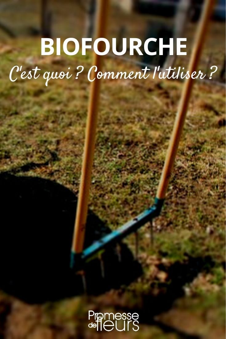 biohorca o aerohorca