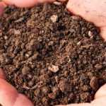 ¿Cómo hacer que mi suelo sea más drenante?