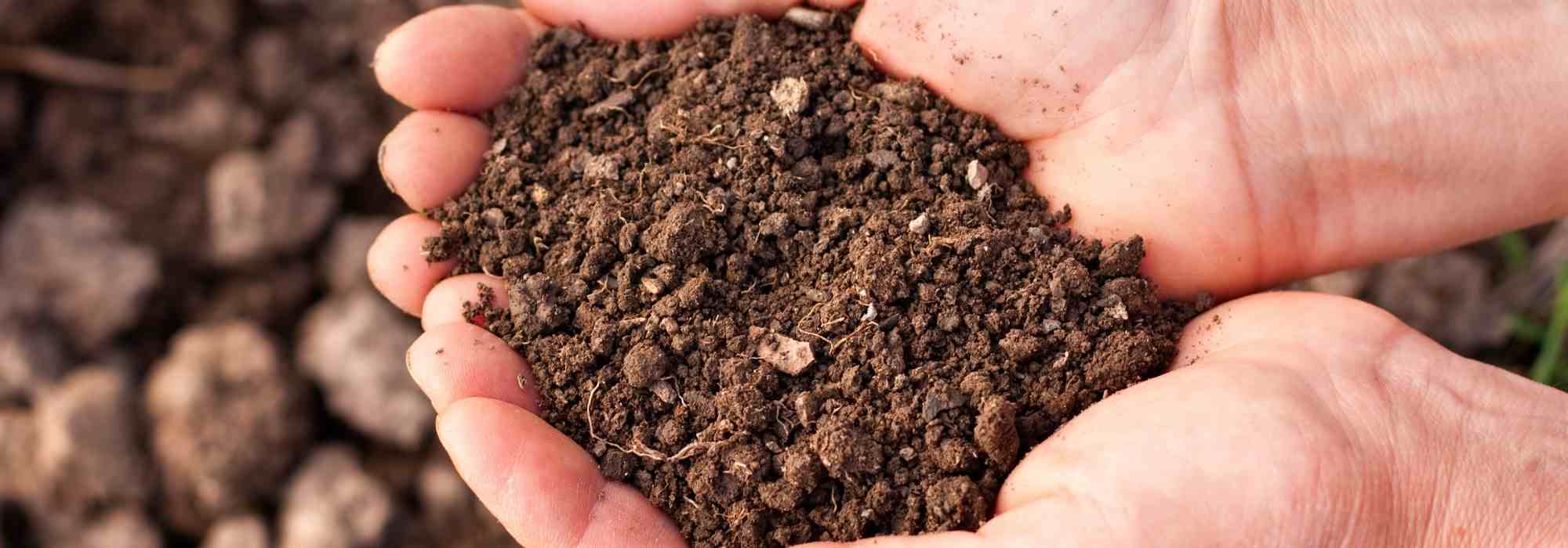 ¿Cómo hacer que mi suelo sea más drenante?