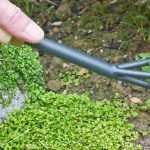 ¿Para qué sirve un cultivador manual o un rastrillo?