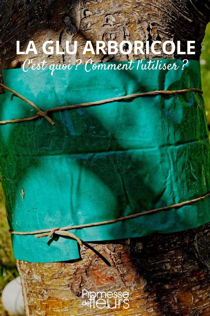 cola para arboricultura