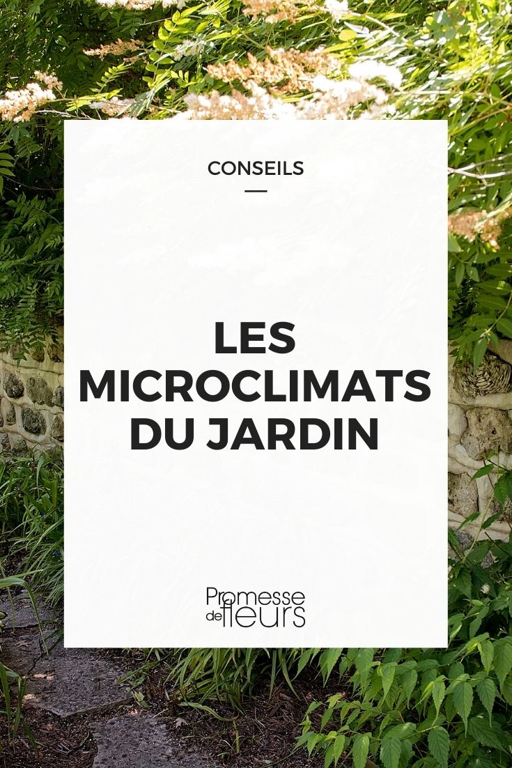 microclimas del jardín