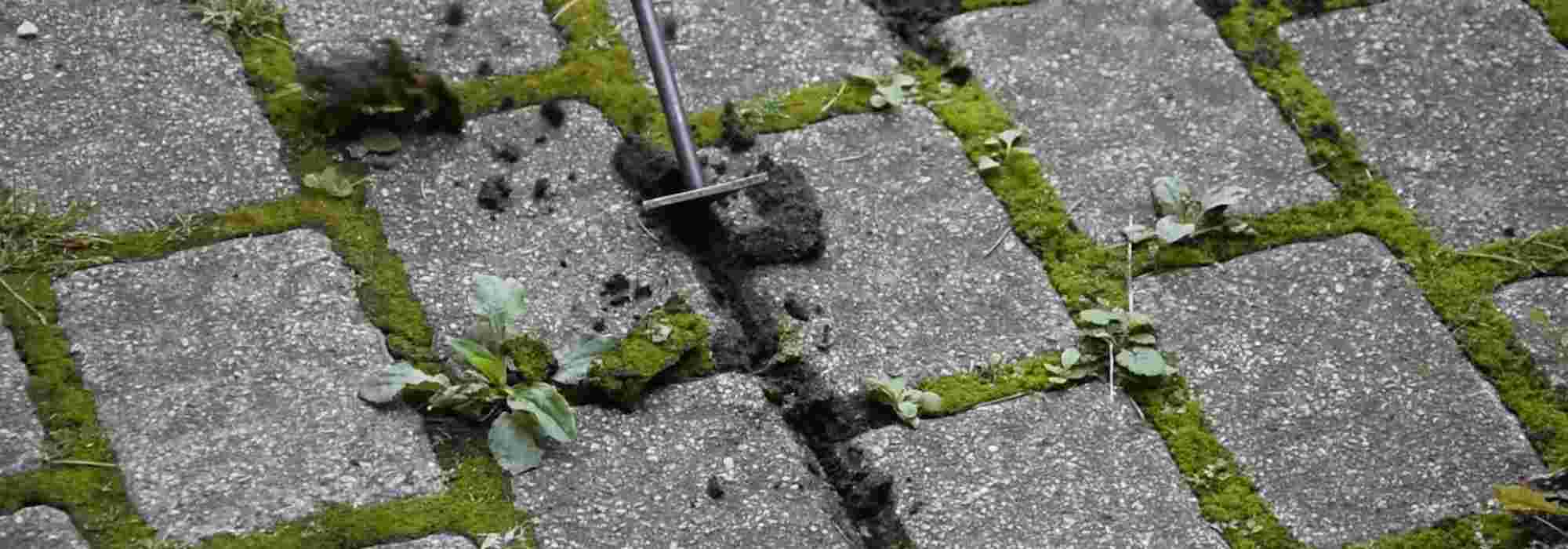 ¿Para qué sirve una rasqueta?