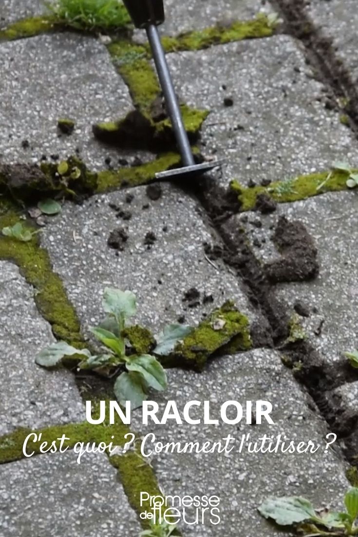 rastrillo herramienta deshierbe