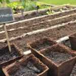 Hacer siembras en macetas