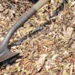 ¿Para qué sirve una pala?