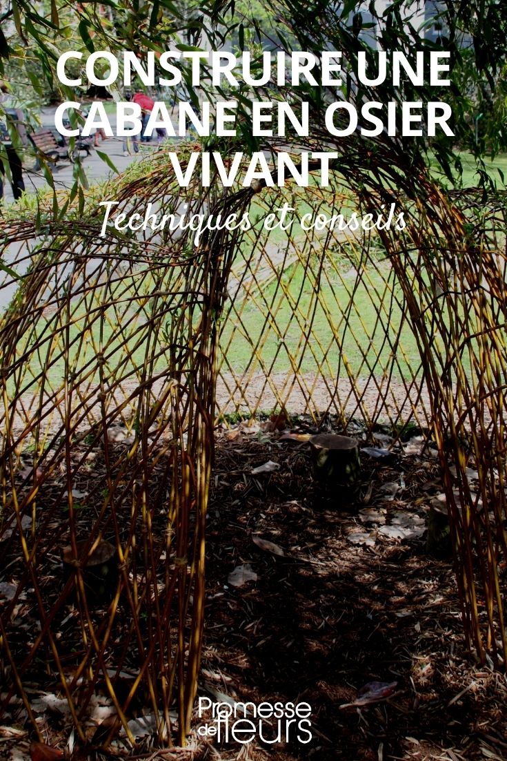 construir una cabaña de mimbre vivo