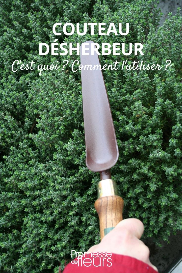 cuchillo desherbador