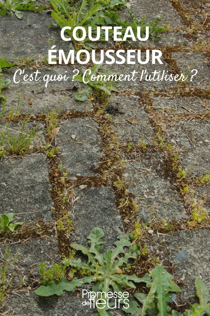 cuchilla desmochadora