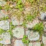 ¿Para qué sirve una cuchilla escarificadora?