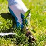 ¿Para qué sirve un cuchillo desherbador?