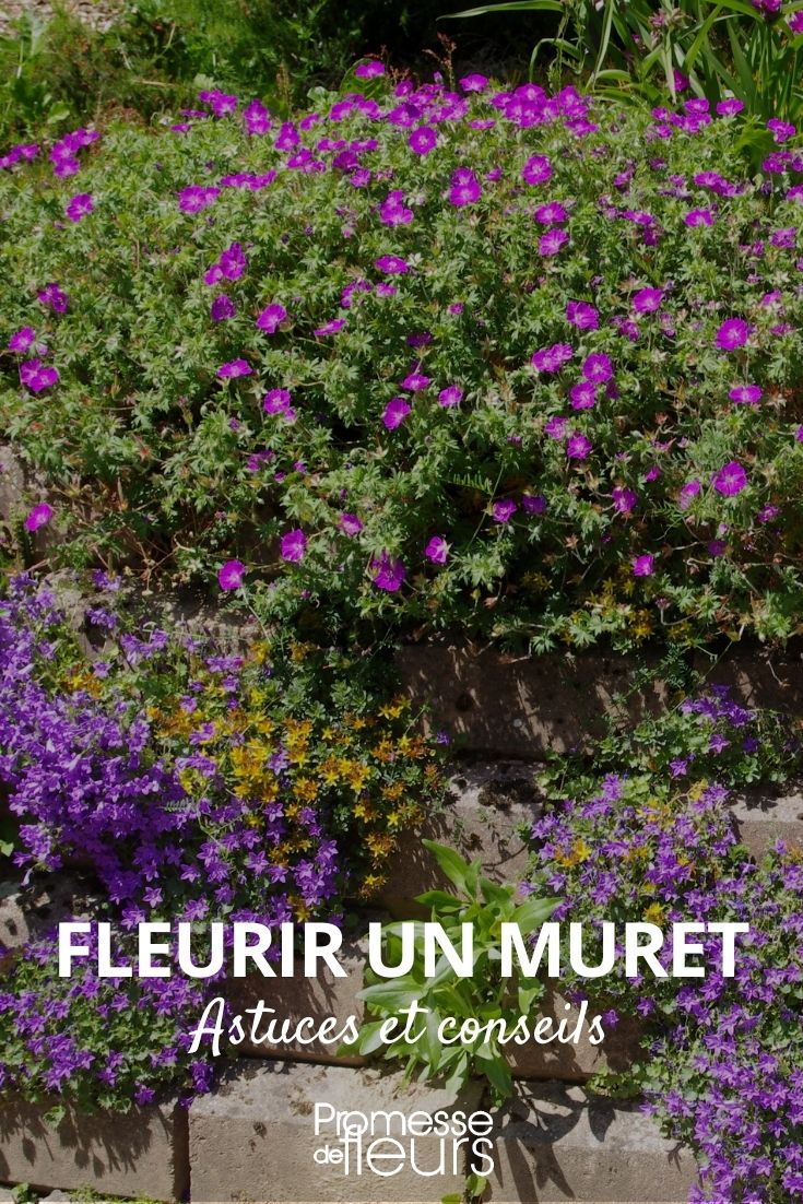crear un muro florido