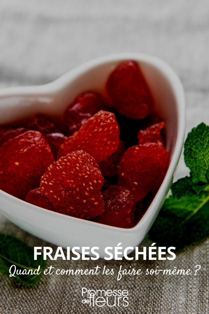 hacer fresas deshidratadas