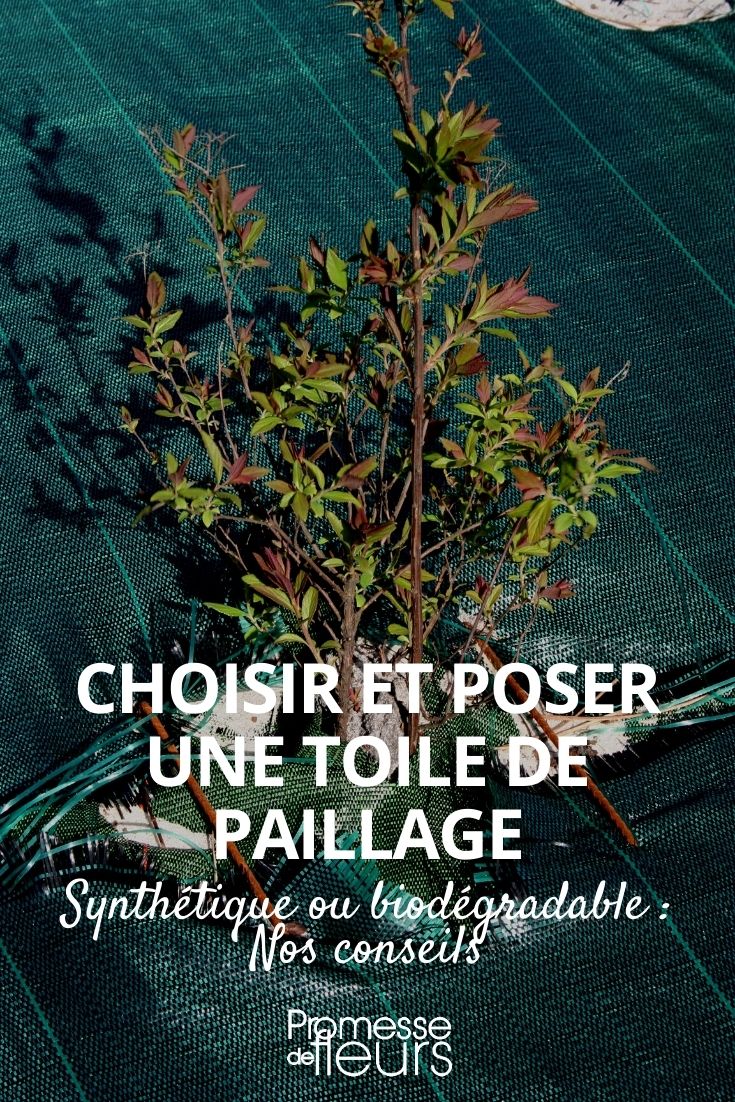 colocar una malla de acolchado