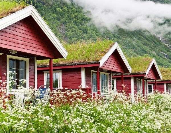 ¿Cómo hacer un techo verde?