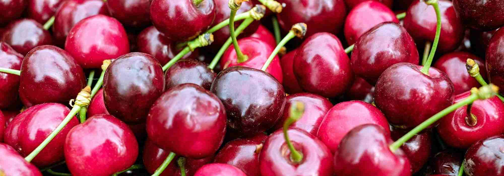 ¿Cómo hacer cerezas deshidratadas?