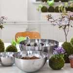 ¿Cómo hacer un kokedama?