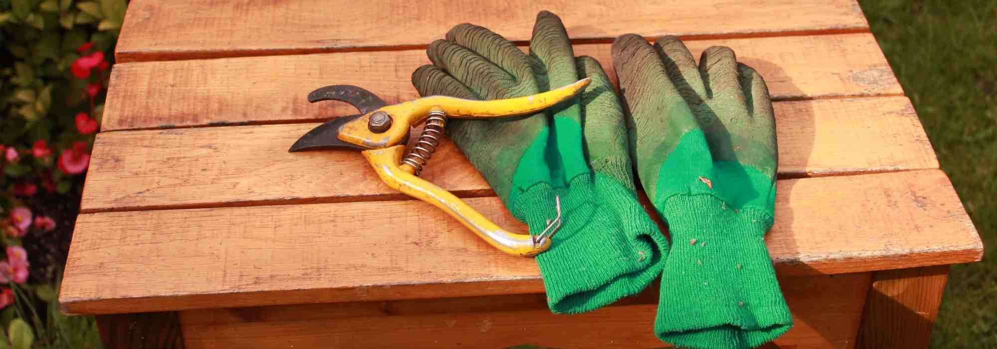 ¿Cómo elegir guantes de jardinería?