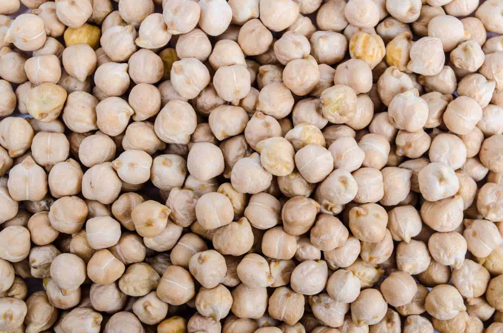 ¿Y si cultivas garbanzos?