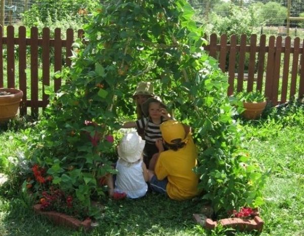 Tipi de judías de enrame: una actividad de jardinería fácil con los niños