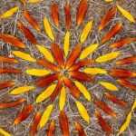 ¿Qué es el land art?