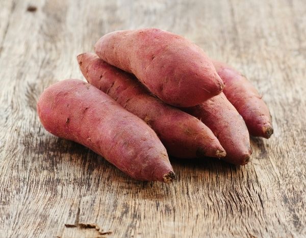 Plantar minimacetas de batatas