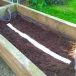 ¿Cómo hacer una cinta de semillas?