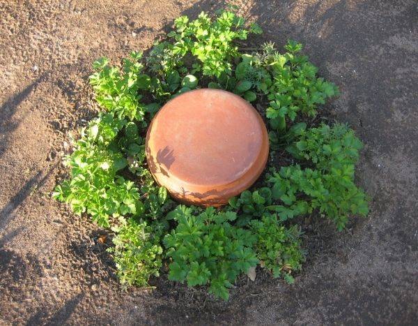 Fabricar una olla casera para regar el jardín