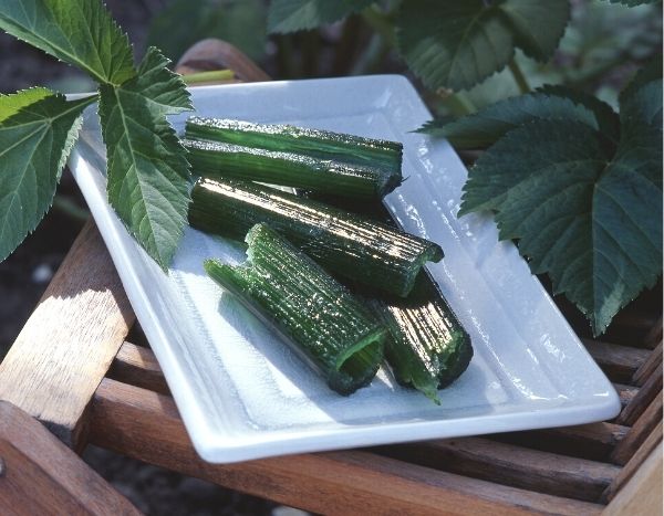 Hacer angelica confitada