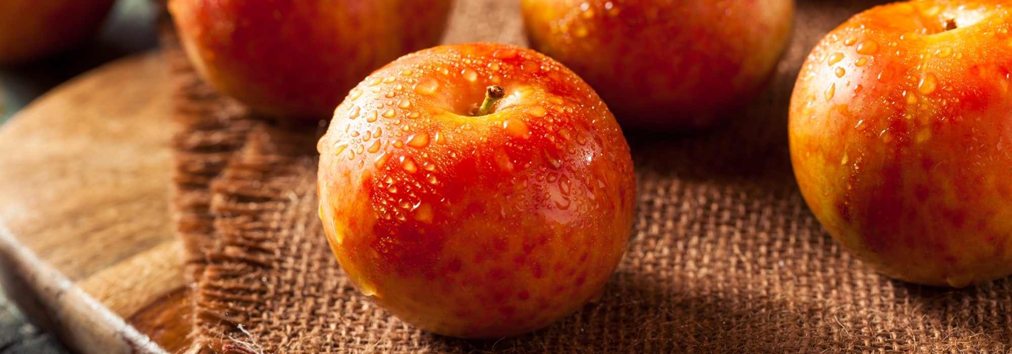 Pluot: plantación, cultivo, cosecha