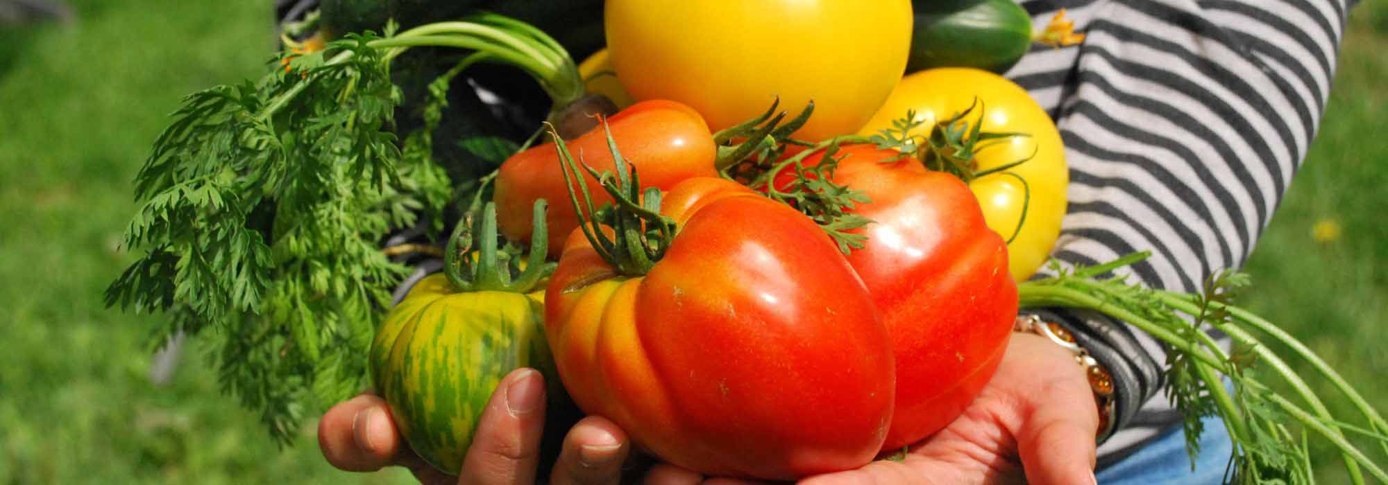 Calendario del huerto - julio