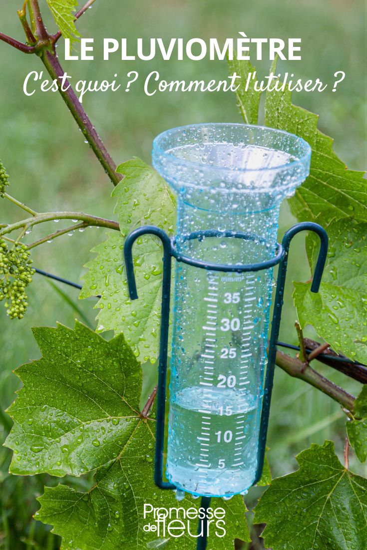 cómo usar un pluviómetro